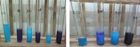 copper sulfate test results